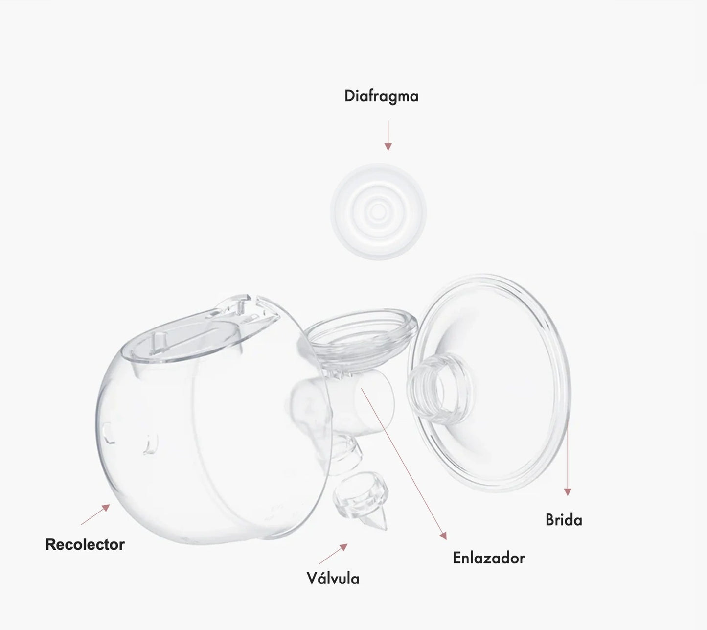 Repuesto De Extractor De Leche Momcozy S12 Pro/s9 Pro